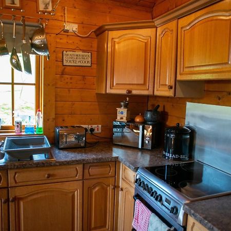 George Cabin - Log Cabin In Wales With Hot Tub Newtown  Exterior foto